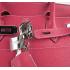 Hermes Birkin 6109 Ladies Handbag