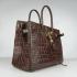 Hermes Birkin 6089 Ladies Handbag Crocodile HM01873