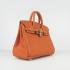 Hermes Birkin 6068 Ladies Handbag Orange