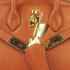 Hermes Birkin 6068 Ladies Handbag Orange