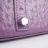 Hermes Birkin 6089 Lizard Leather Purple Handbag