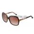 Hermes Large Oversized Brown Frame Sunglasses with Metallic Logo 308103