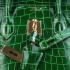 Hermes Birkin 6089 Ladies Handbag Green HM04828