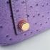 Hermes Birkin 6088 Ladies Handbag Purple