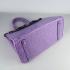 Hermes Birkin 6088 Ladies Ostrich Skin Purple Handbag