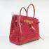 Hermes Birkin 6089 Ladies Handbag Crocodile