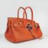 Hermes Birkin 6109 Handbag Cow Leather HM08855