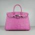 Hermes Birkin 6088 Ladies Ostrich Skin Pink