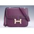 Hermes Constance Plum with Golden Buckle