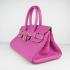 Hermes Birkin 6109 Ladies Purple