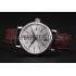 IWC Portofino Silver Dial Stainless Steel Case Brown Leather Strap