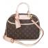 Louis Vuitton Monogram Canvas M42228 Brown Canvas Small Bag