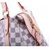 Louis Vuitton Damier Canvas N42220 Apricot Canvas Ladies Handbag