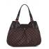 Louis Vuitton Damier Canvas N41540 Brown Canvas 2way