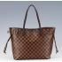 Louis Vuitton Neverfull MM Damier