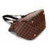 Louis Vuitton Damier Canvas N41118 Brown Medium 2way Replica