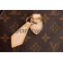 Louis Vuitton Monogram Speedy 25 Bag With Chain Shoulder Strap