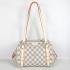 Louis Vuitton Damier Canvas N41157 Canvas Medium Cross Body Bag HM04110