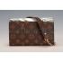 Louis Vuitton Twist Palm Print Bag