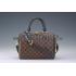 Louis Vuitton Damier Speedy 25 with Shoulder Strap