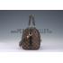 Louis Vuitton Damier Speedy 25 with Shoulder Strap