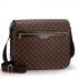 Louis Vuitton Damier Canvas N58021 Brown Canvas 2way