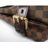 Louis Vuitton Damier Canvas N51200 Canvas Cross Body Bag Ladies