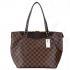 Louis Vuitton Damier Canvas N41103 Canvas HandBags Ladies