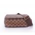 Cheap Louis Vuitton Damier Canvas N40106 Brown 2way Unisex