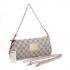 Louis Vuitton Damier Canvas N55214 Canvas 2way Ladies