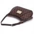 Louis Vuitton Damier Canvas N48180 Canvas Medium Cross Body Bag