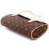 Louis Vuitton Monogram Canvas M51902 Brown Canvas Small Handbags