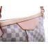 Louis Vuitton Damier Canvas N41113 Canvas Medium Messenger Bag