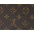 Louis Vuitton Monogram Canvas M60017 Canvas Small Accessory