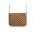 Replica Louis Vuitton Damier Canvas N51301 Canvas Small Unisex Handbags