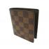 Louis Vuitton Damier Canvas N60929 Brown Card Bags Unisex