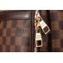 Louis Vuitton Damier Ebene Michael Backpack