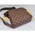 Louis Vuitton Damier Canvas N41442 Cow Leather Small 2way