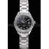 Omega Seamaster Aqua Terra Black Dial Diamond Case Stainless Steel Bracelet  622449 Replica