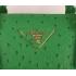 Prada  16625M Ladies Ostrich Skin Green Handbag Replica